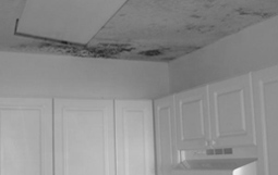 Drywall Ceiling Repair