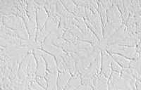 Popular Drywall Textures - Dan the Drywall Man